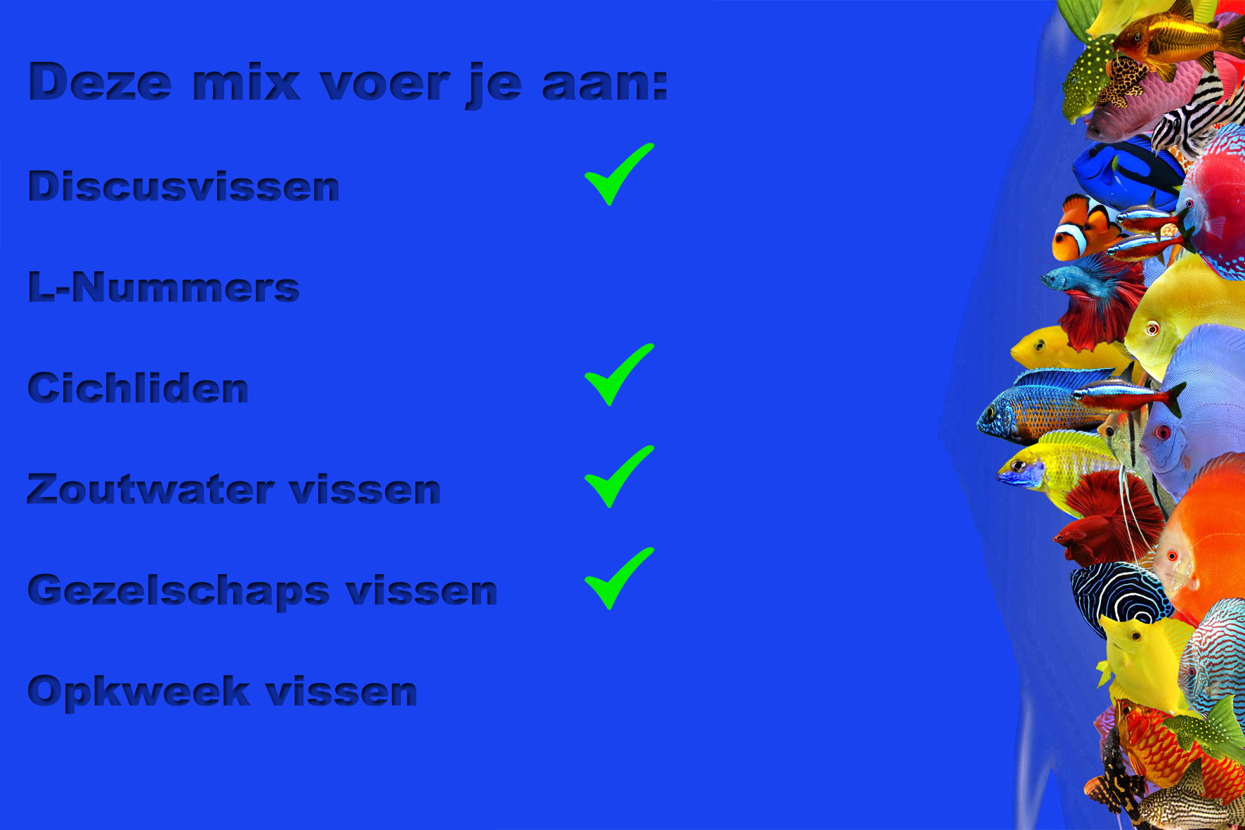 welke vissen Red2